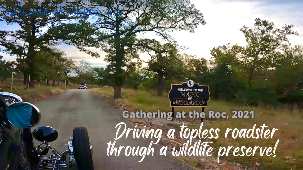 Driving a Topless Roadster Through a Wildlife Preserve